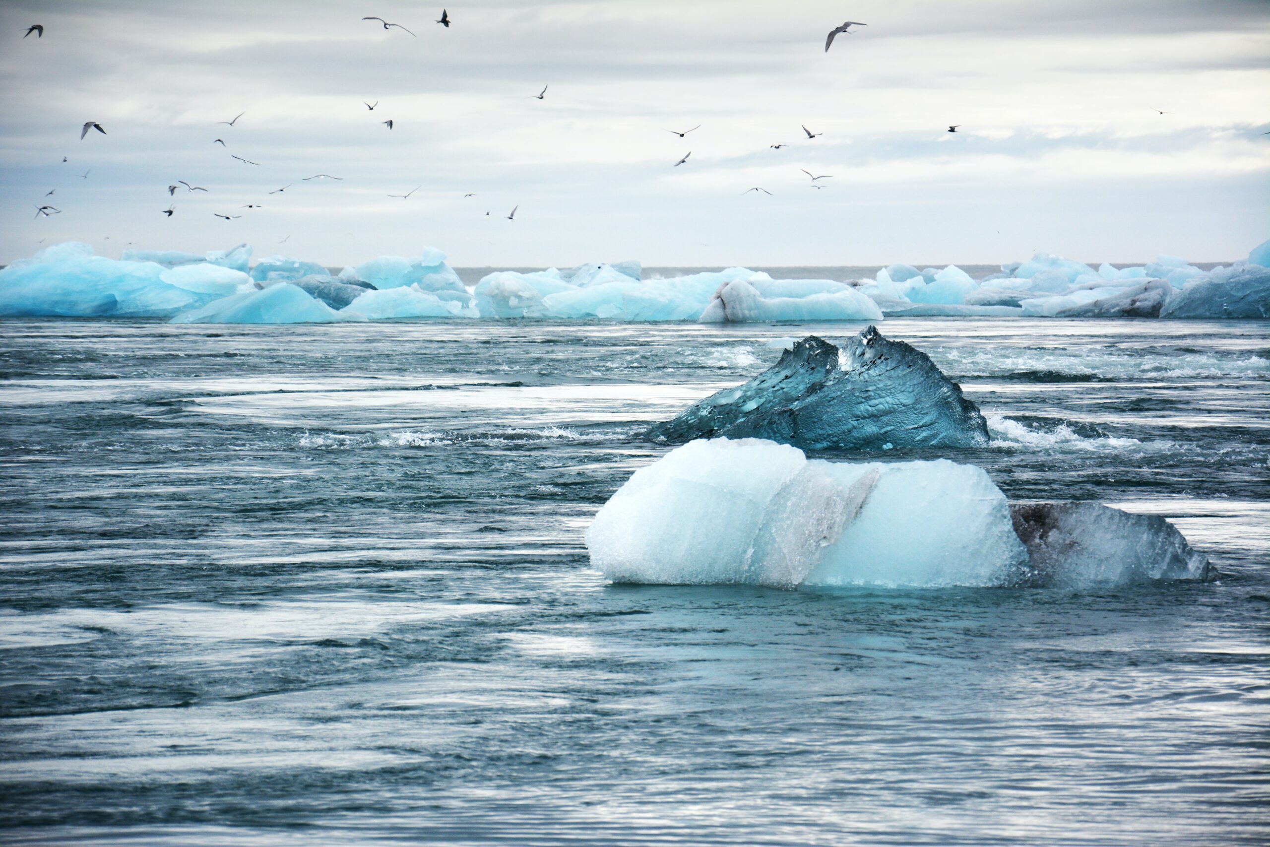 [Webinar] From Hong Kong to Polar Regions, From Climate Actions to ESG