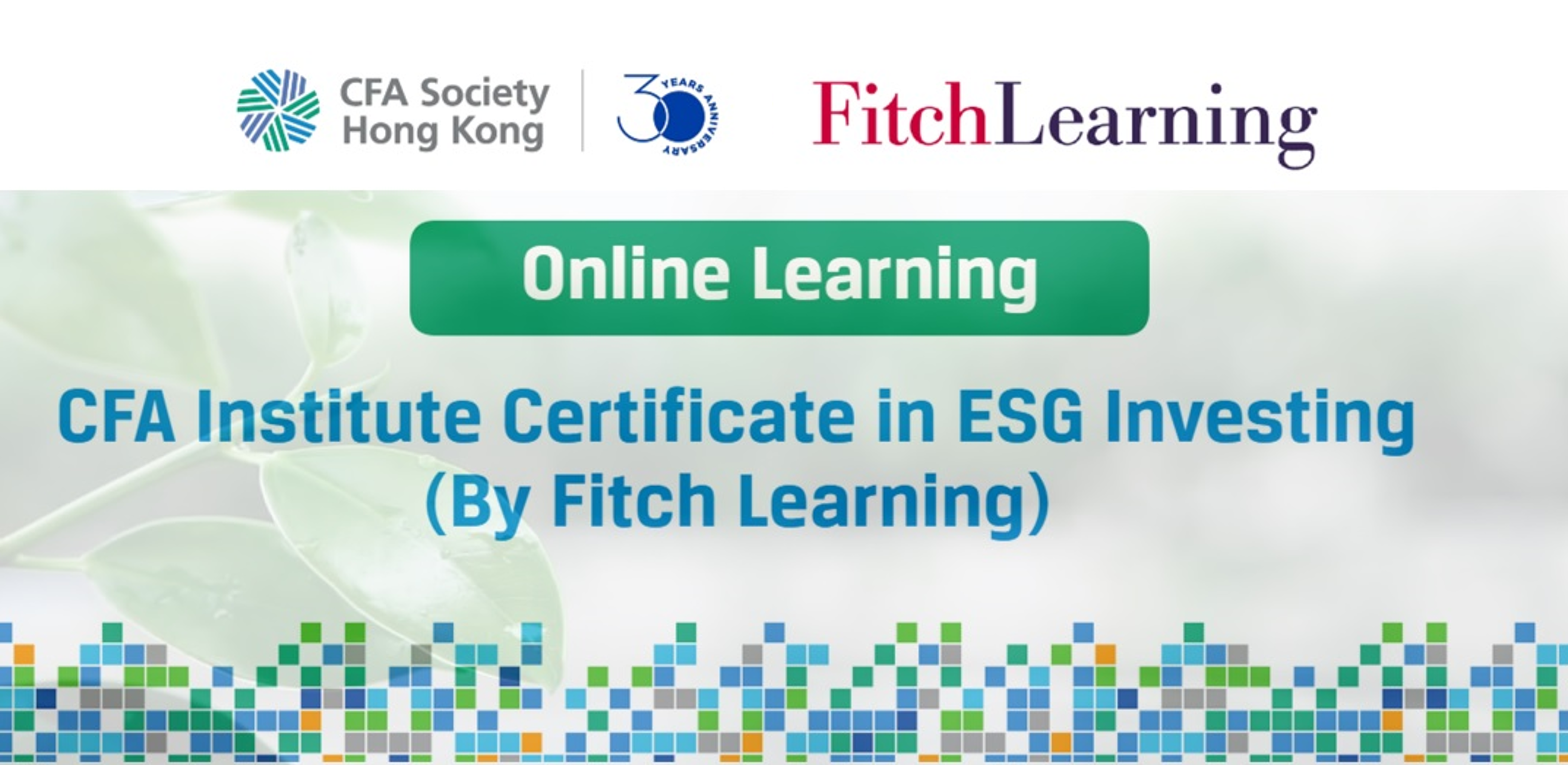 Online Learning + 4 x Half-day Virtual Classroom by Fitch Learning (Oct)