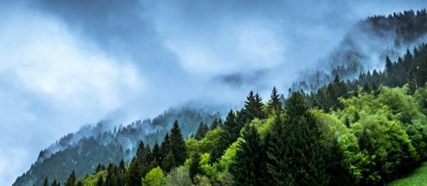 Net Zero for Asset Management: The Opportunities, Challenges and Values of Leveraging A Data-driven Investment Framework