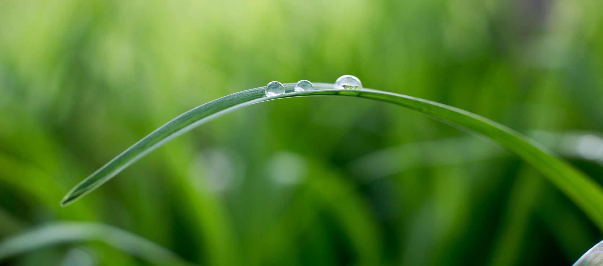 ESG Investing Masterclass - Public vs Private Market